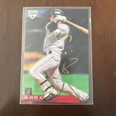 2026年最新】山田哲人 直筆サインの人気アイテム - メルカリ