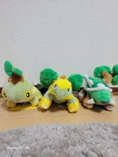 ポケモンフィット　ナエトル、ハヤシガメ、ドダイトス