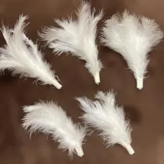 Item thumbnail for item 05ce6534-dd06-4eb5-ba2c-8766c2c4c027