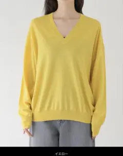 JOURNAL STANDARD L'ESSAGE Vネックニット