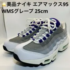 ⭐️美品ナイキ エアマックス95 WMSグレープ 25cm