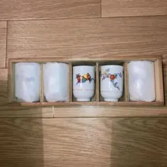 【新品未使用】有田焼 絵変わりぐいのみ 5客セット 酒 盃 ぐいのみ