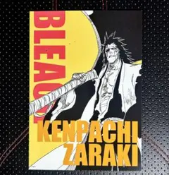 BLEACH ブリーチ 更木剣八 アートカードコレクション ジャンプショップ