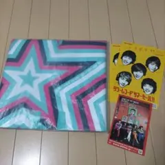 【オマケ付き】SHINee うちわケース