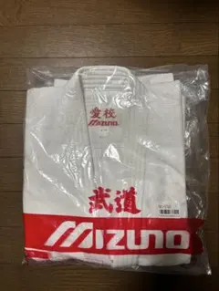 Item thumbnail for item 5f1aaf8a-43a7-4354-9a51-2afeb3ebe81f