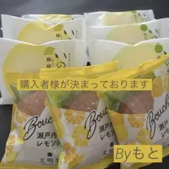 [ラグノオささき]カスタードケーキいのちれもん３個✖︎レモンブッセ３個めろん3追加のサムネイル
