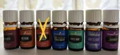 Young Living エッセンシャルオイルセット - メルカリ