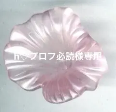 h♡プロフ必読様専用