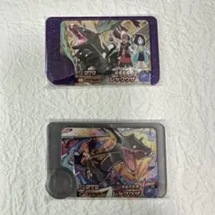 ポケモン フレンダ レックウザ 2枚セット①