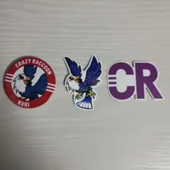 Crazy Raccoon 缶バッジ RURI