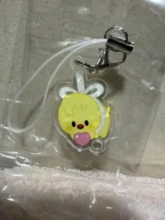 スキズ　ペンミ　入場特典　フィリックス　キーリング