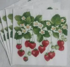 KuMA@匿名配送発送即日から様 リクエスト 3点 まとめ商品