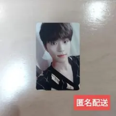 SEVENTEEN/胴上げ(Heng:garae)SET Verトレカ DINO