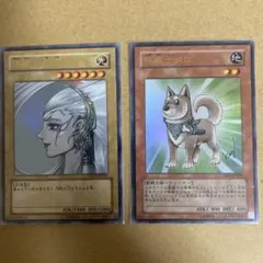 高橋和希　逆転の女神　柴戦士タロ　遊戯王