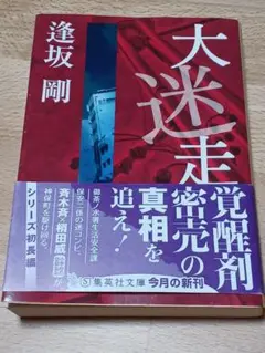 大迷走