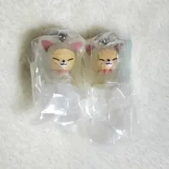 SKZOO ガチャ めじるしアクセサリー フォクシニー