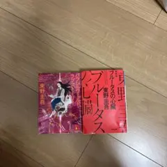 東野圭吾 文庫本 2冊セット