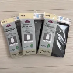 Item thumbnail for item 48682c36-6432-4fea-8119-f4c4eb9823cf