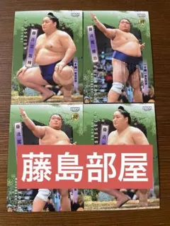 Item thumbnail for item 9cba55a1-ce18-4693-8d68-74956323423a