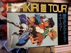 Item thumbnail for item 0a1cfbc4-83dd-40c5-b7fe-85317f6200fa