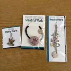 ARASHI Beautiful World グッズ3点セット