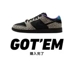 新品未使用 / 超激レア / NIKE VANDAL HI CANVAS - メルカリ