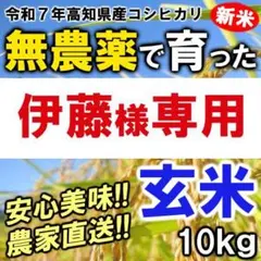 【伊藤様専用】