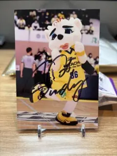 サンロッカーズ渋谷直筆サイン入りイラストポスター5／14日まで値下げ