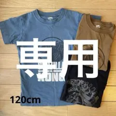 Item thumbnail for item e04c98fc-359b-424c-8eed-341ae3882aaf