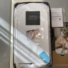 Item thumbnail for item 3387adb7-044e-440a-b22e-bea0fd1bd081