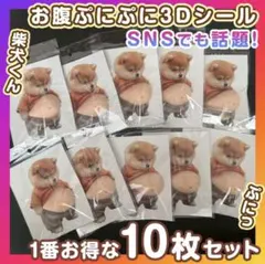 おなかぷにぷに シール 柴犬 ぷっくりおなか 3D ステッカー10枚 立体 いぬ