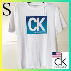 レア 新品 USA カルバンクライン メンズ ロゴTシャツ 白 下着 S
