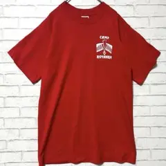 90s fruit of the room USA製 ヴィンテージTシャツ M