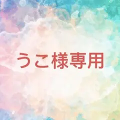 うこ様確認専用ページ【取り置き中　11月16日迄】