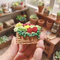 多肉植物　粘土　ハンドメイド　ミニチュア　飾り　雑貨　ドールハウス　寄せ植え