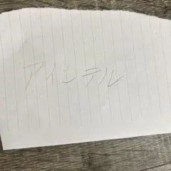 RIZIN ラジャブアリ・シェイドゥラエフ 直筆サイン色紙 銀ペンver