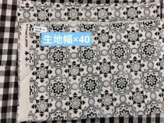 Item thumbnail for item 5c3ae3bf-c6cd-49e6-9839-6eed32408f05