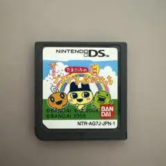 DSソフト　たまごっちのプチプチおみせっち　ソフトのみ　レトロゲーム