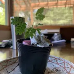 かなさん！様 リクエスト 4点 まとめ商品