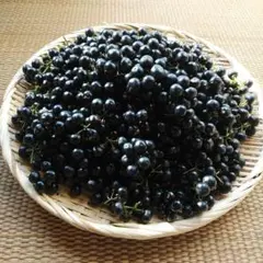 ミドリムシ様 リクエスト 2点 まとめ商品