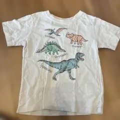BEAMS mini 恐竜 Tシャツ 120のサムネイル