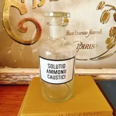 Item thumbnail for item 06542015-a15f-4837-a67f-f9859ea7442a