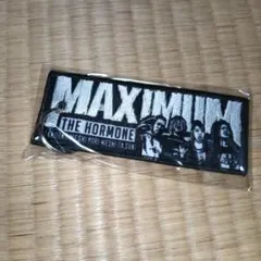 2025年最新】マキシマムザホルモンキーホルダーの人気アイテム