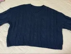 秋冬向けSHEIN Dazy ネイビー Vネック ケーブルニット