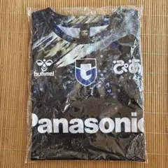 Item thumbnail for item e9eb8867-f798-4e5a-b6fa-b7b51abfe3c6