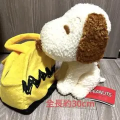 新品タグ付き　スヌーピーぬいぐるみ＆ぬいぐるみバック(チャック付き)