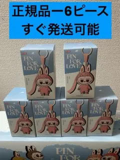 【正規品・未開封】Pin For Love N-Z 6盒