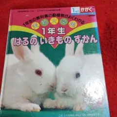 3冊セット。1年生 はるのいきものずかん、野菜の絵本,他全3冊。