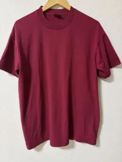 USA えんじ ワインレッド フルーツオブザルーム　Tシャツ シングルステッチ夏のサムネイル