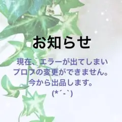 お知らせ✨今から出品します